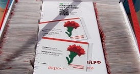 В Калуге стартовала благотворительная акция «Красная гвоздика»